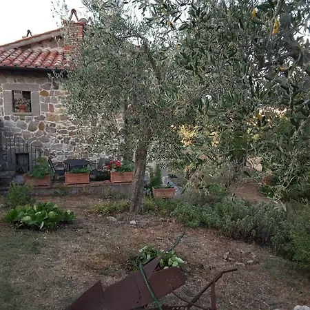 Poggio Bicchieri * Campiglia dʼOrcia