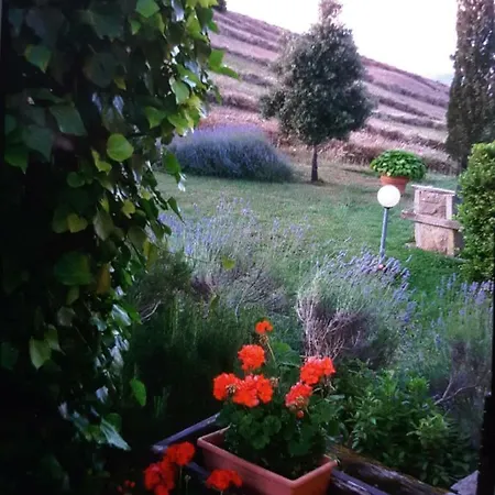 Poggio Bicchieri *