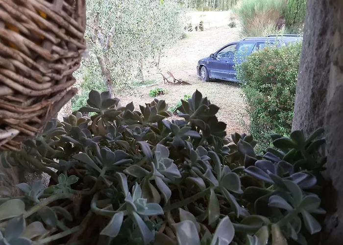 Poggio Bicchieri Campiglia dʼOrcia